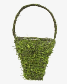 Detail Hanging Moss Texture Nomer 6