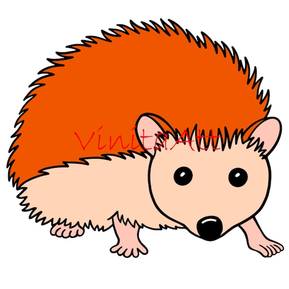 Detail Igel Clipart Nomer 6