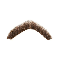 Detail Moustache Png Transparent Nomer 16