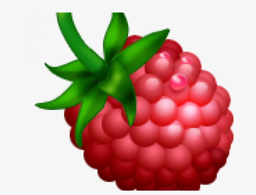 Detail Raspberry Pi Clipart Nomer 3