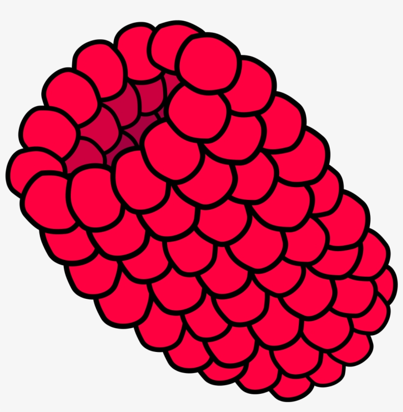 Detail Raspberry Pi Clipart Nomer 9