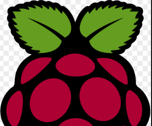 Detail Raspberry Pi Clipart Nomer 10