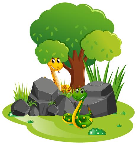 Schlangeneier Im Garten 28+ Koleksi Gambar