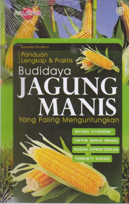 Detail Gambar Budidaya Jagung Manis Nomer 41