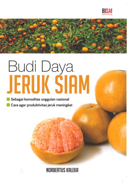 Detail Gambar Budidaya Jeruk Siam Nomer 23