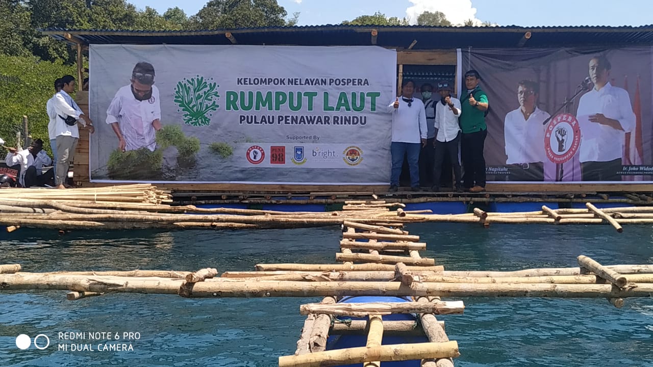 Detail Gambar Budidya Rumput Laut Nomer 34