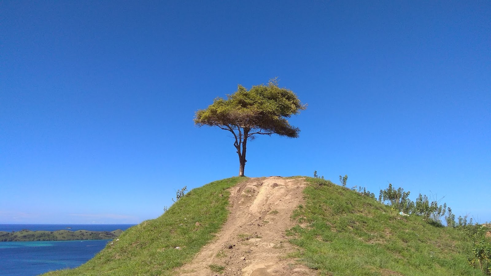 Detail Gambar Bukit Cinta Labuan Bajo Nomer 35