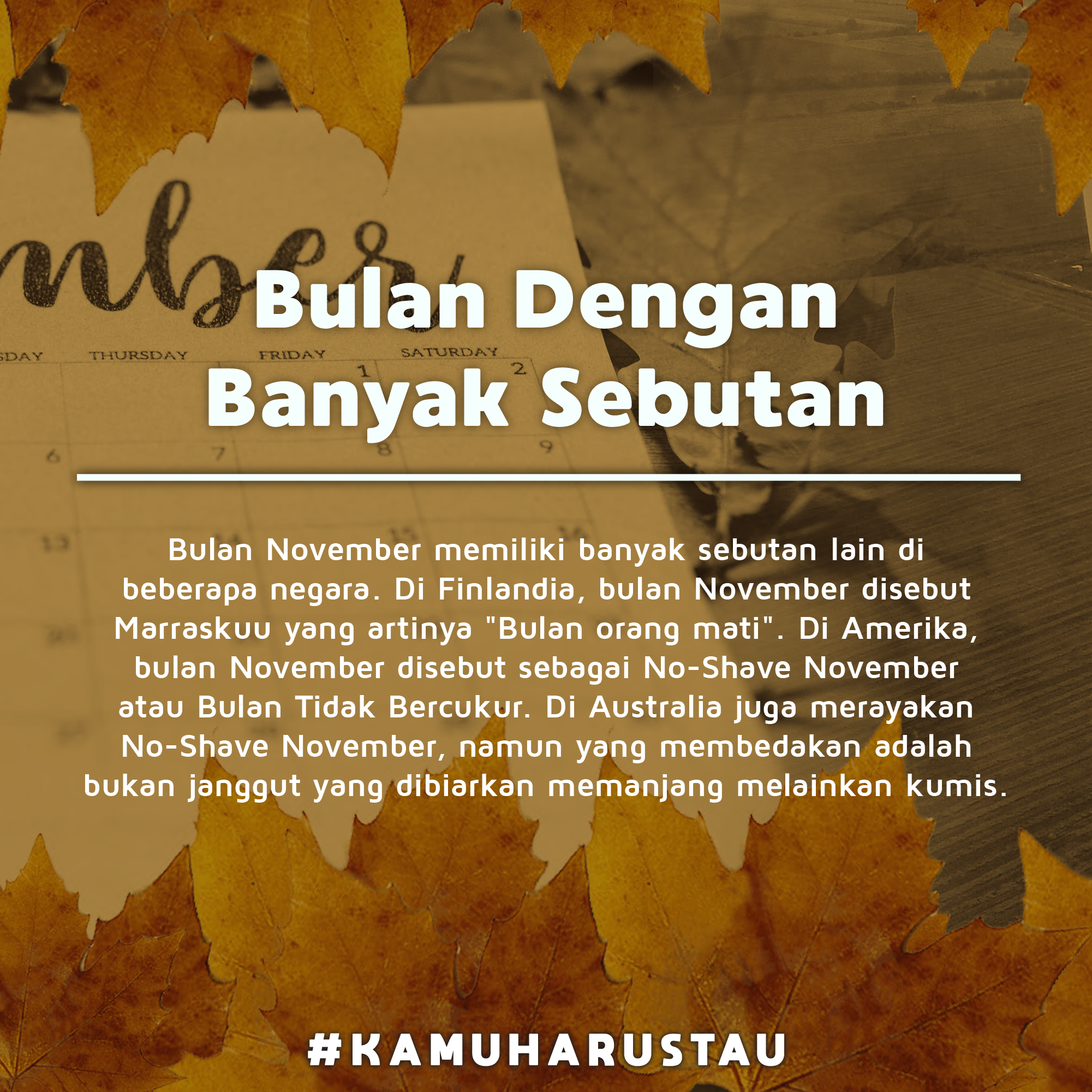 Detail Gambar Bulan November Nomer 7