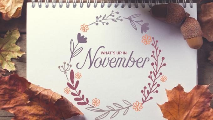 Detail Gambar Bulan November Nomer 8