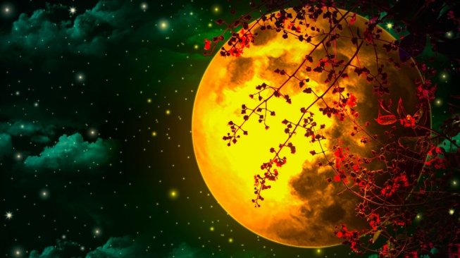 Detail Gambar Bulan Purnama Dan Bintang Nomer 20