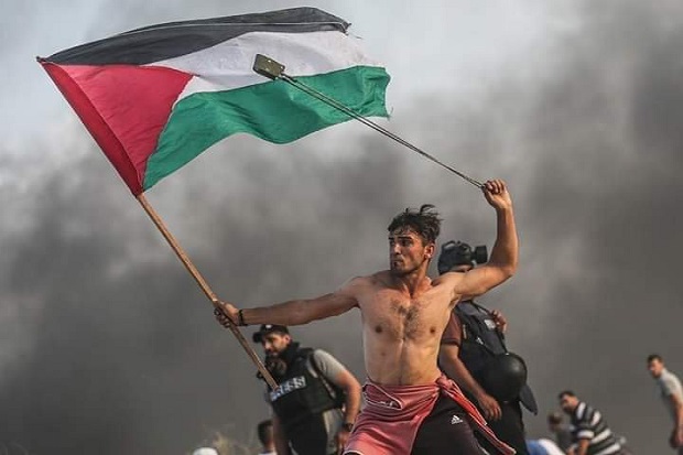 Detail Gambar Bulan Sabit Gambar Bendera Palestina Nomer 27