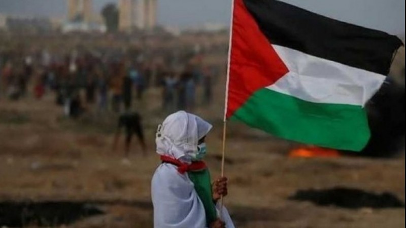 Detail Gambar Bulan Sabit Gambar Bendera Palestina Nomer 28