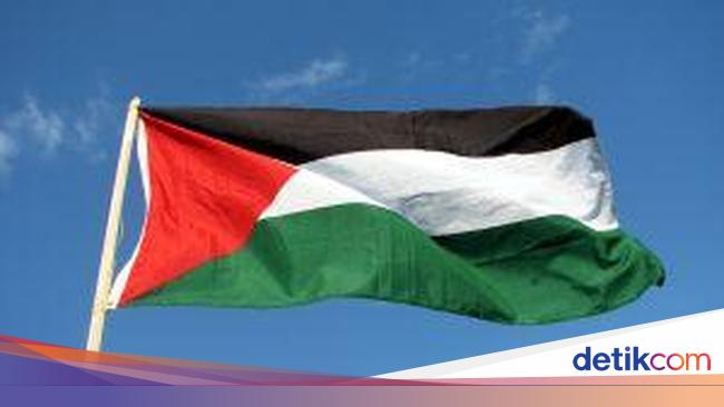 Detail Gambar Bulan Sabit Gambar Bendera Palestina Nomer 8