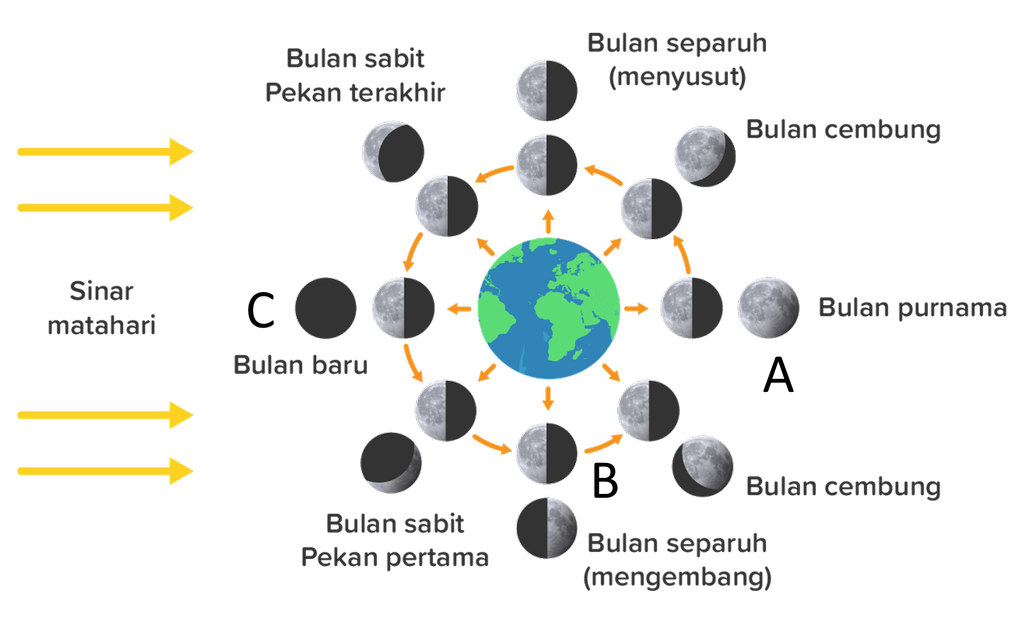 Detail Gambar Bulan Sabit Gambar Bulan Separuh Nomer 47