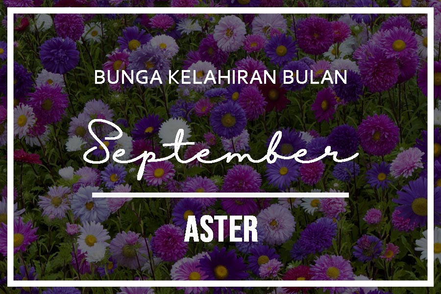 Detail Gambar Bulan September Nomer 46