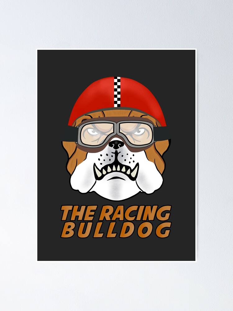 Detail Gambar Bulldog Racing Nomer 19