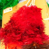 Detail Gambar Bulu Ayam Warna Merah Nomer 5