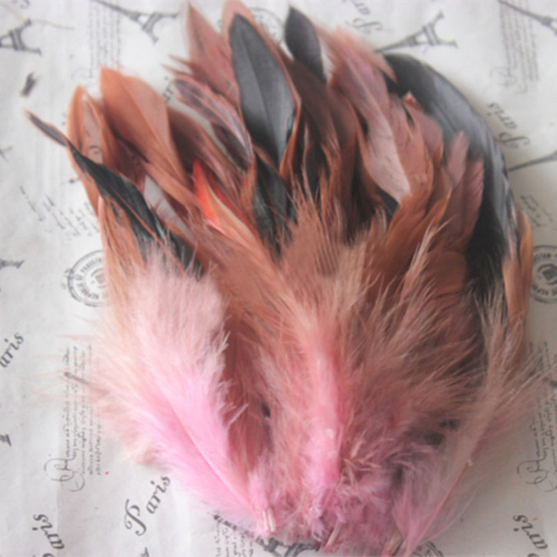 Detail Gambar Bulu Ayam Warna Merah Nomer 42