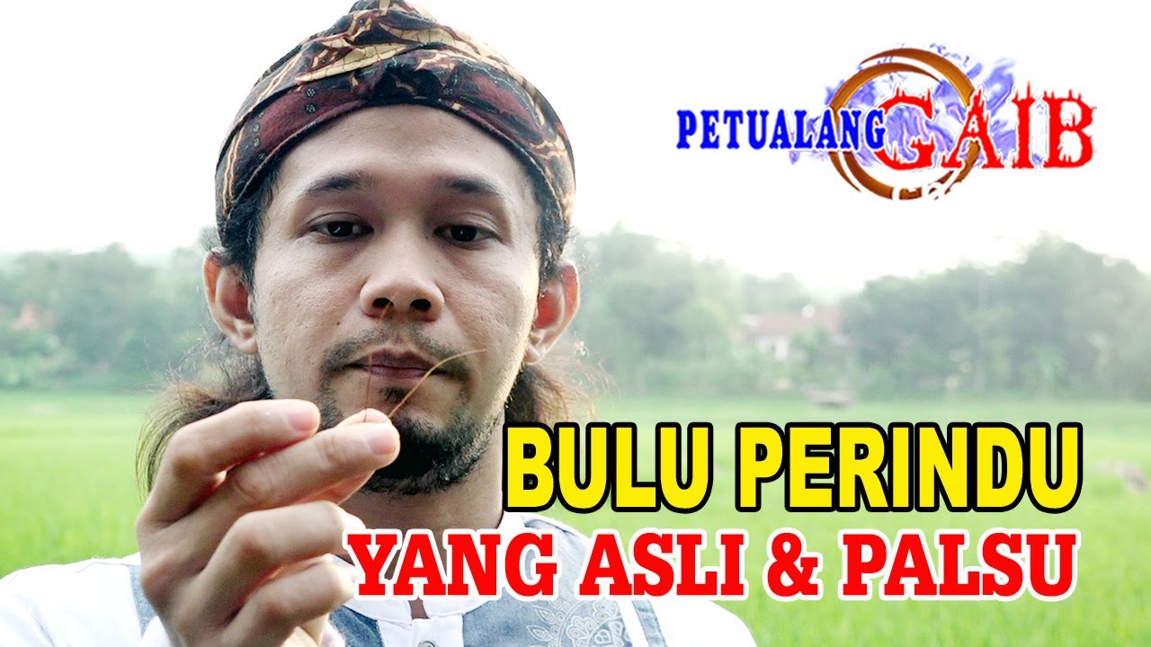 Detail Gambar Bulu Perindu Asli Dan Palsu Nomer 34