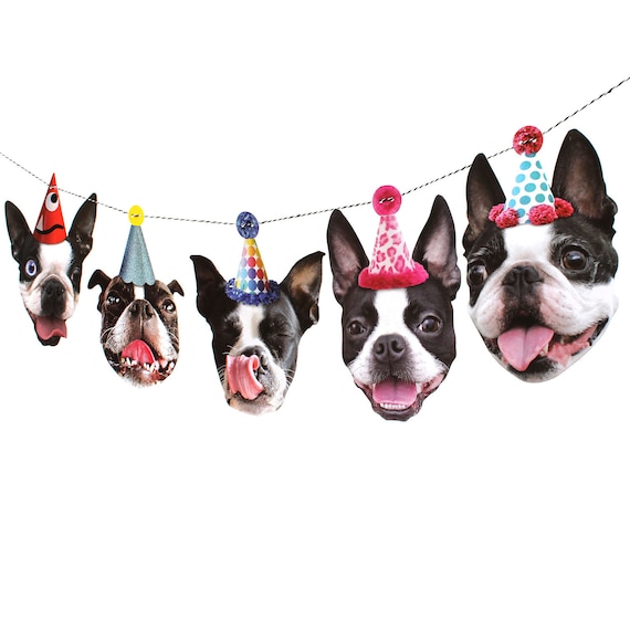 Detail Geburtstag Hundebesitzer Nomer 12