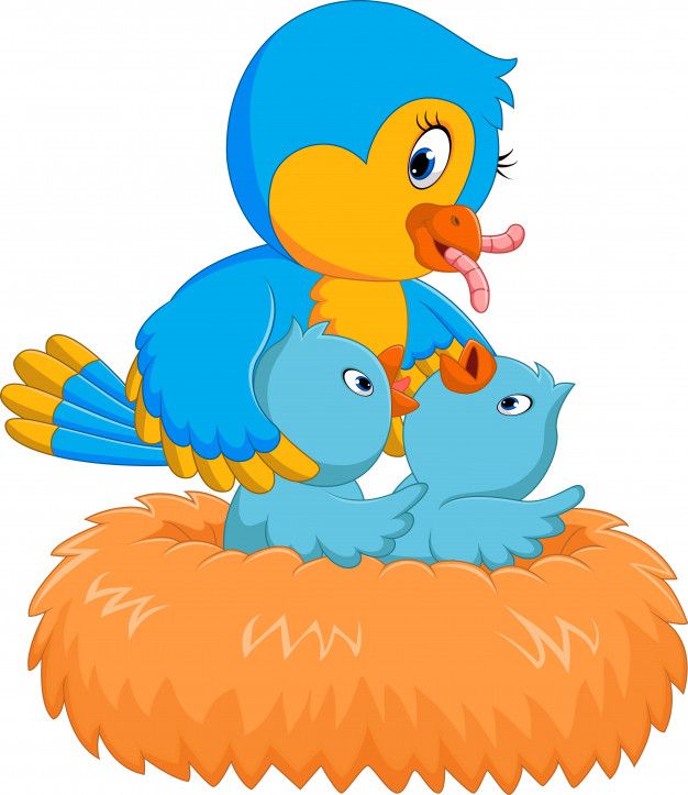 Detail Mutter Vogel Nomer 9