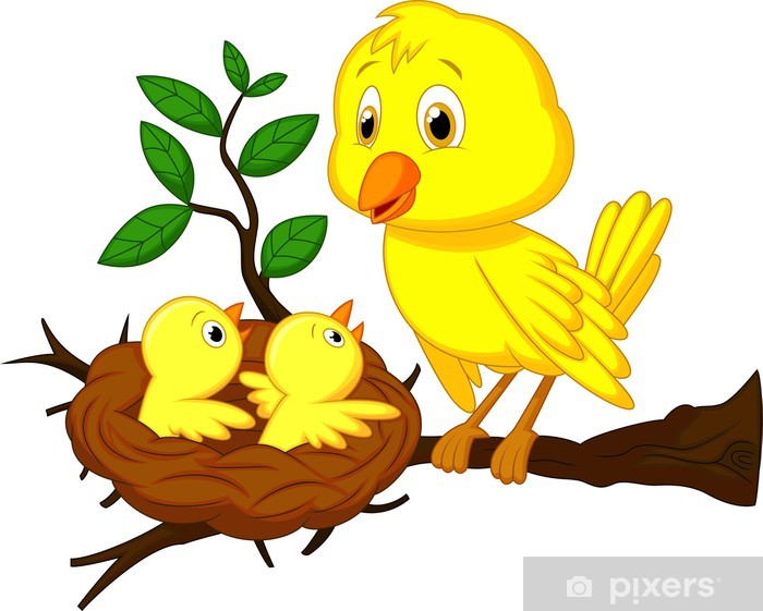 Detail Mutter Vogel Nomer 3