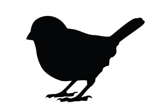 Detail Mutter Vogel Nomer 25