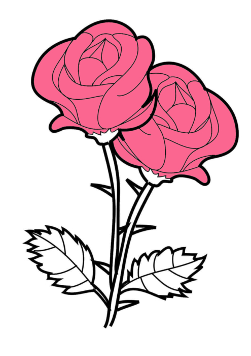Detail Rote Rose Zeichnen Nomer 8