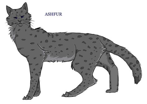 Detail Ashfur And Ferncloud Nomer 20