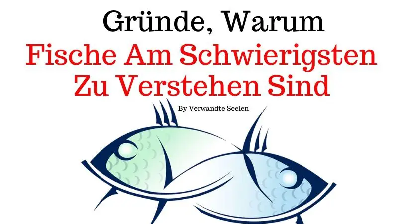 Detail Bilder Fische Nomer 21