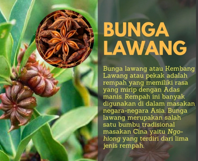 Detail Gambar Bumbu Bunga Lawang Nomer 31