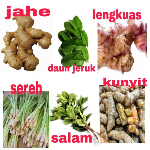 Detail Gambar Bumbu Dapur Lengkap Nomer 4