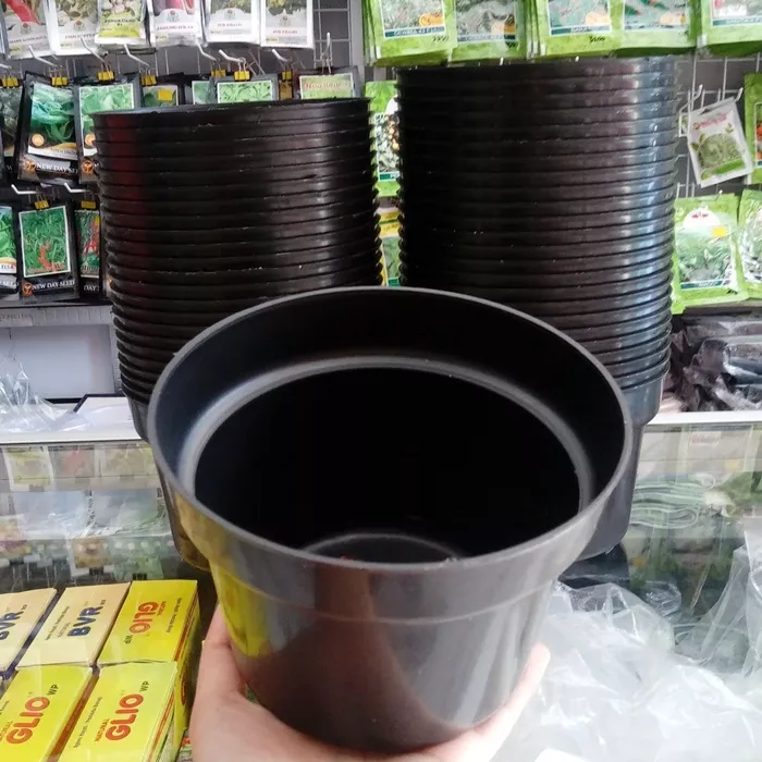 Detail Gambar Bunga 15 Cm Nomer 6