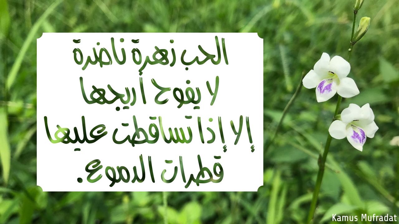 Detail Gambar Bunga Ada Tulisan Arab Nomer 51
