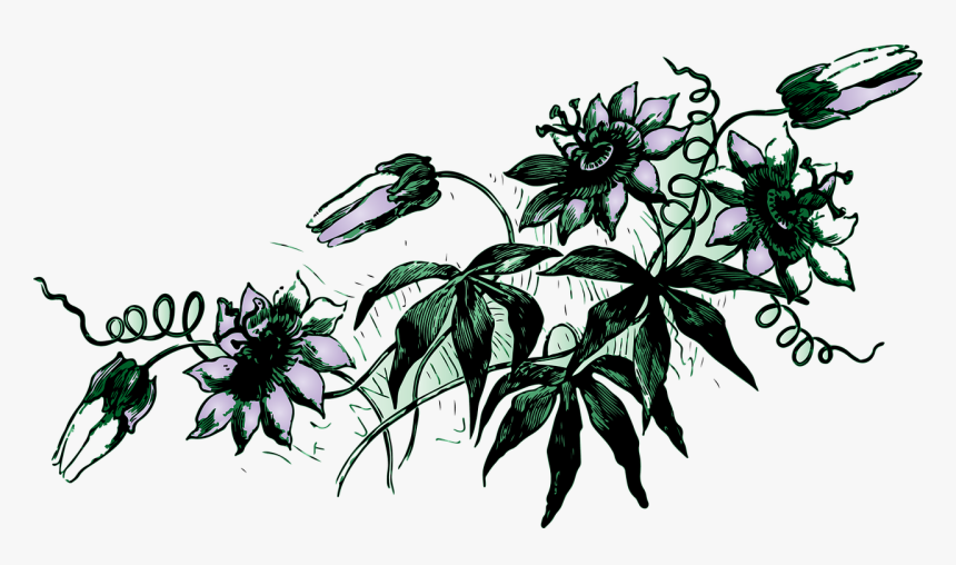 Detail Gambar Bunga Aesthetic Kartun Nomer 24