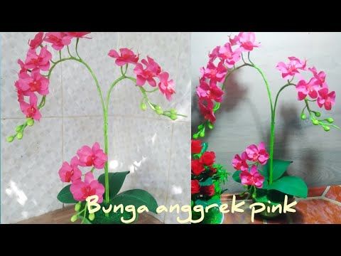 Detail Gambar Bunga Anggrek Dari Plastik Nomer 46