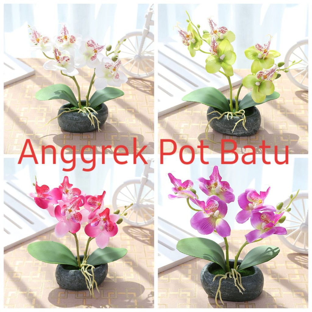 Detail Gambar Bunga Anggrek Di Pot Nomer 56