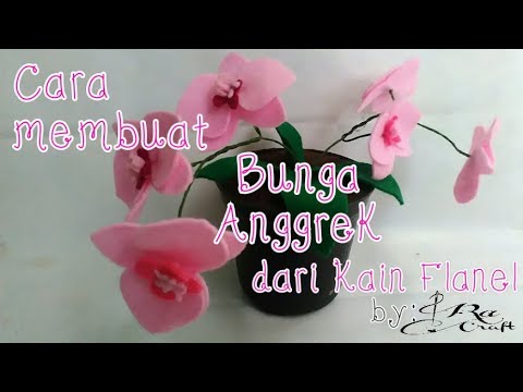 Detail Gambar Bunga Anggrek Flanel Nomer 36