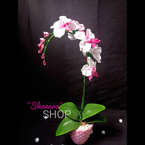 Detail Gambar Bunga Anggrek Pink Nomer 35