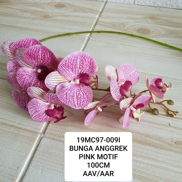 Detail Gambar Bunga Anggrek Pink Nomer 36