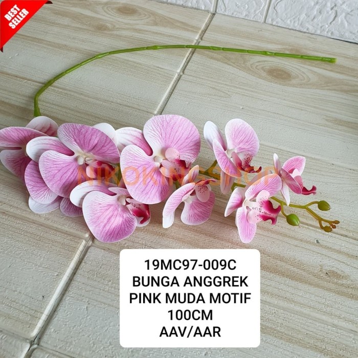 Detail Gambar Bunga Anggrek Pink Nomer 37