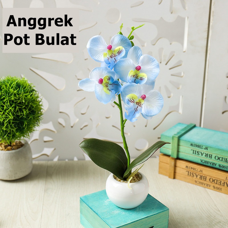 Detail Gambar Bunga Anggrek Warna Biru Nomer 30