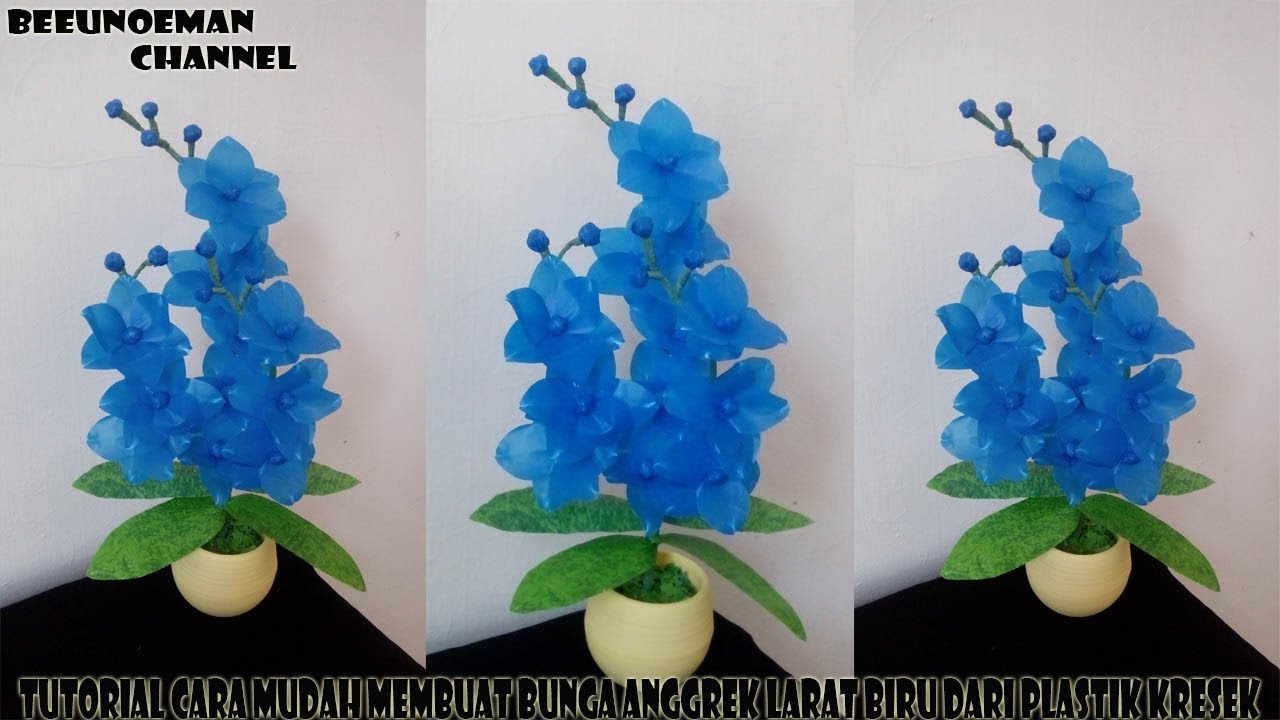 Detail Gambar Bunga Anggrek Warna Biru Nomer 52