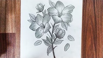 Detail Gambar Bunga Anggrek Yang Belum Diwarnai Nomer 43