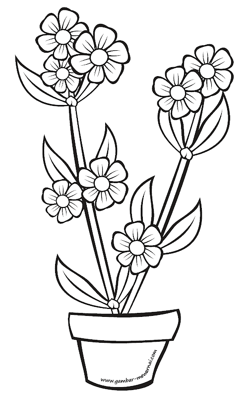 Detail Gambar Bunga Anggrek Yang Belum Diwarnai Nomer 8