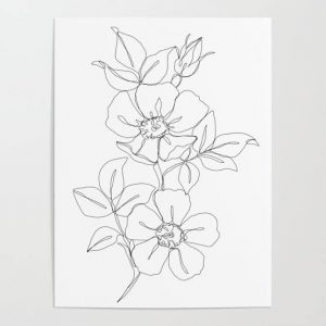 Detail Gambar Bunga Anggrek Yang Belum Diwarnai Nomer 9