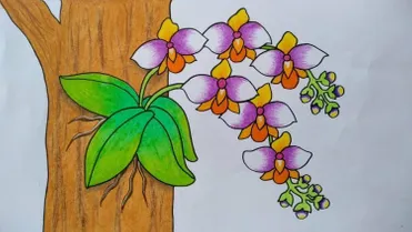 Detail Gambar Bunga Anggrek Yang Mudah Ditiru Nomer 14