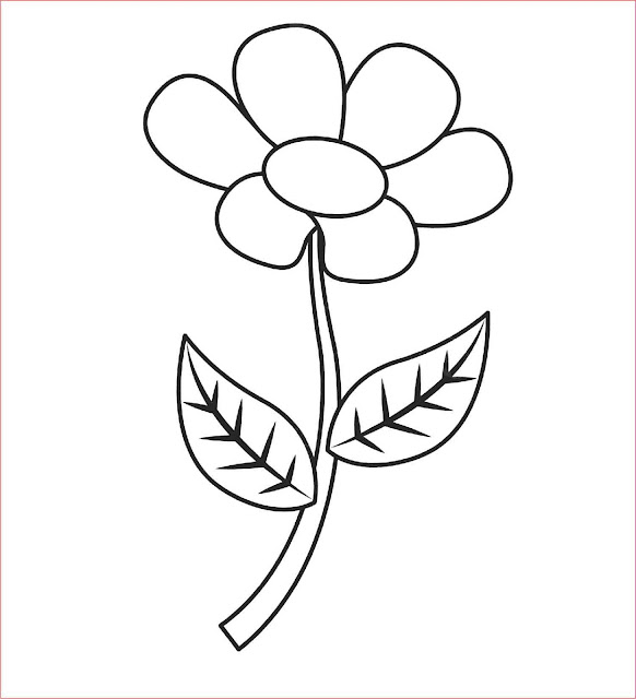Detail Gambar Bunga Anggrek Yang Mudah Ditiru Nomer 45