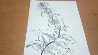 Detail Gambar Bunga Anggrek Yang Mudah Ditiru Nomer 8