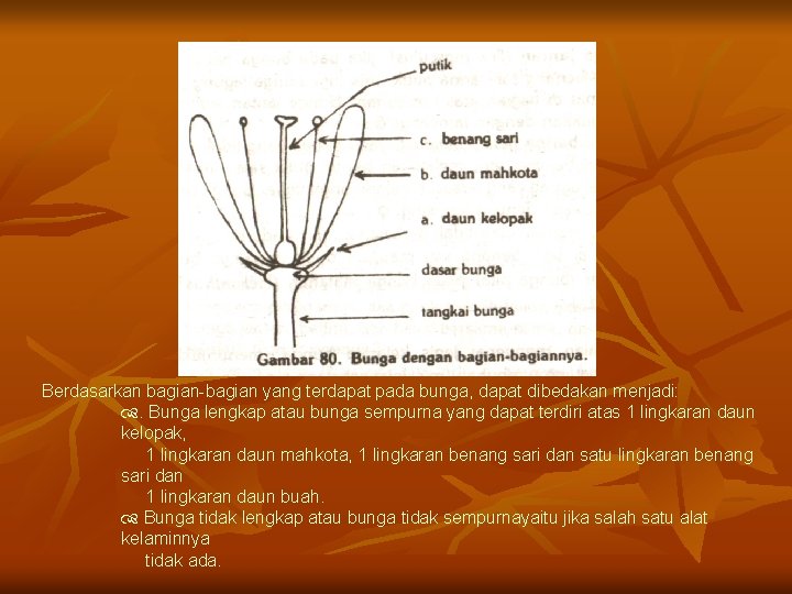 Detail Gambar Bunga Asoka Dan Bagian Bagiannya Nomer 10